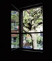 Zoka Zola, Pfanner House, window detail
